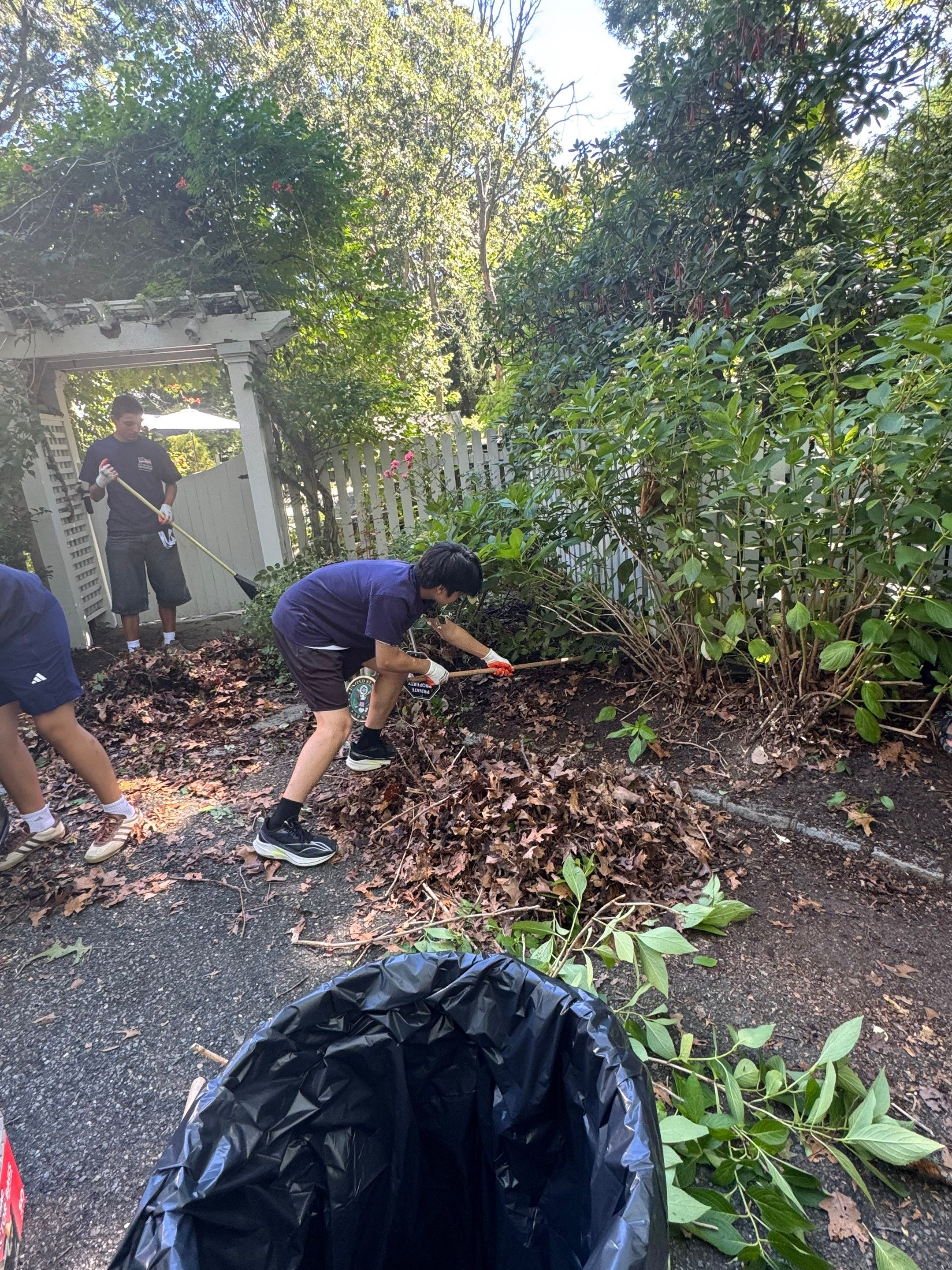 A student volunteer bagging yard debris